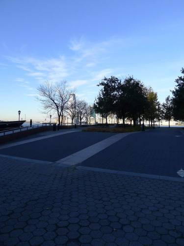 USA_2011-11-24 08-04-22